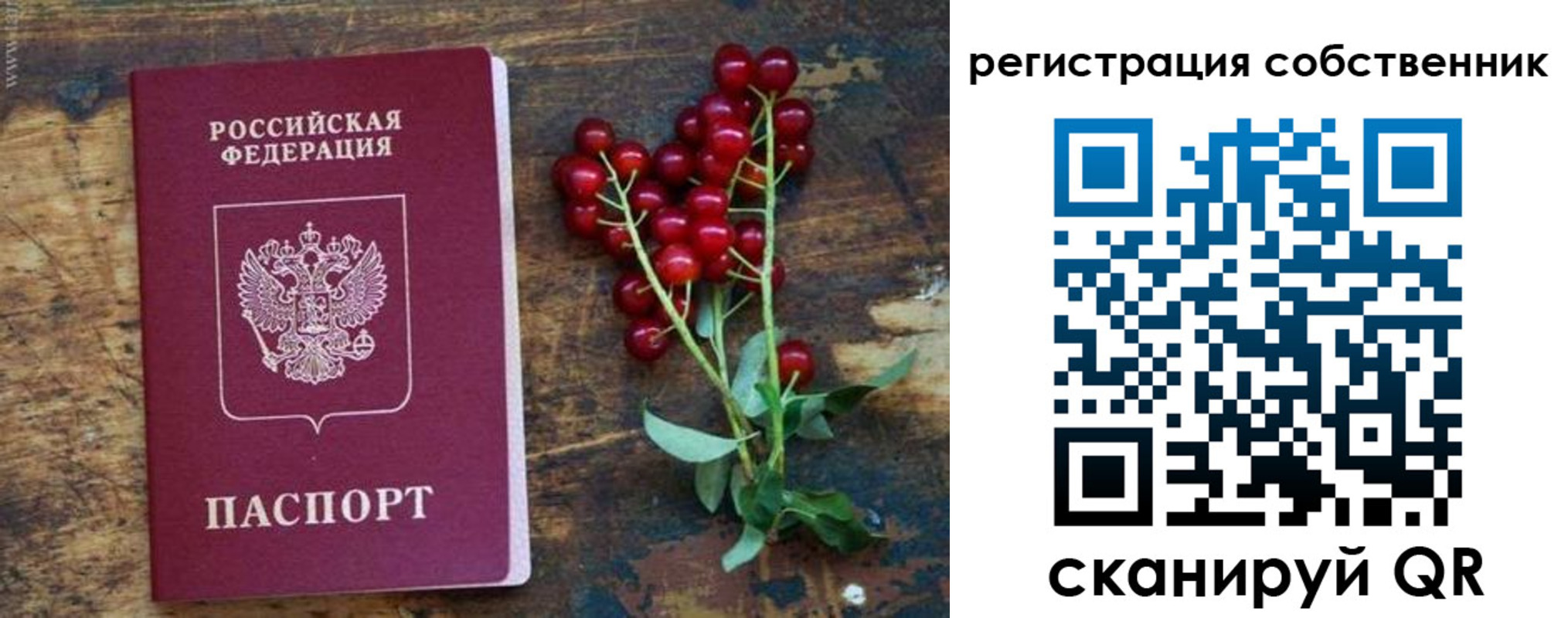 регистрация для дет. сада в Губкинском